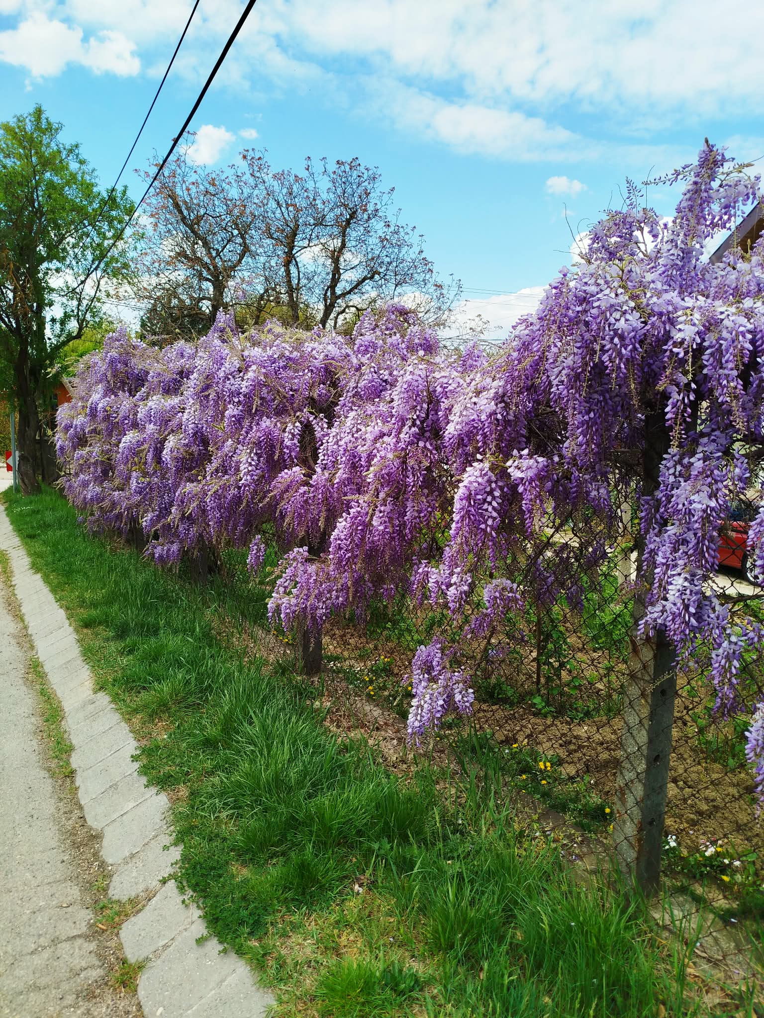 Bejegyzés kép